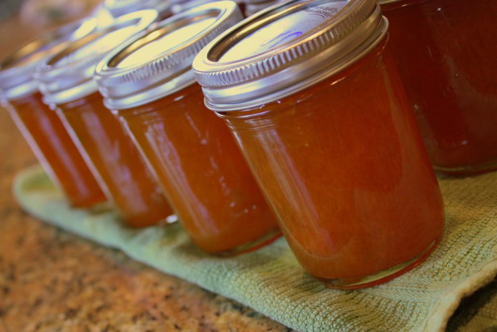 Apricot jam with vanilla