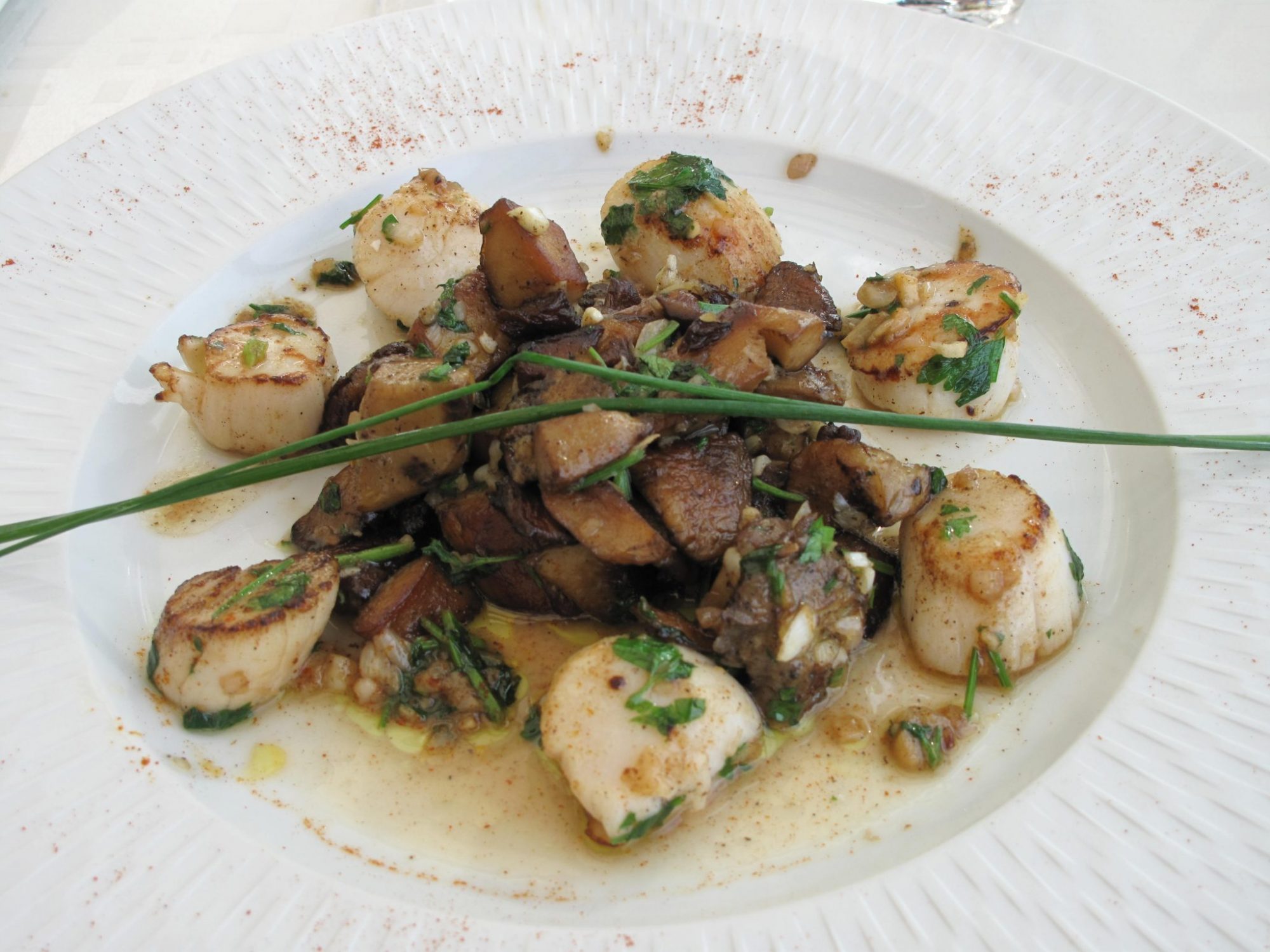 Fricassee of scallops with ceps