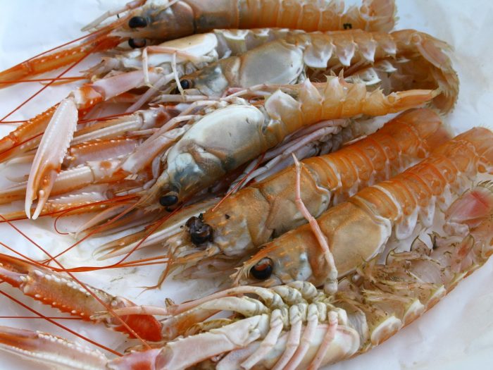 Large fresh prawns