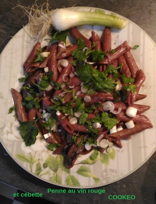 Penne pasta with red wine