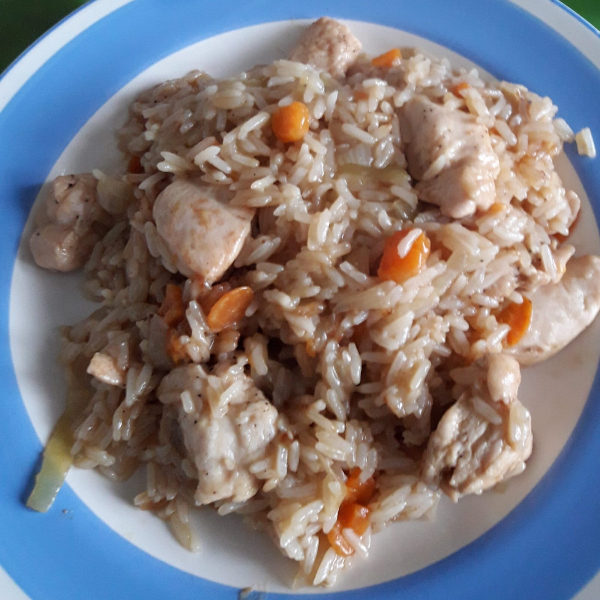 Chicken with rice