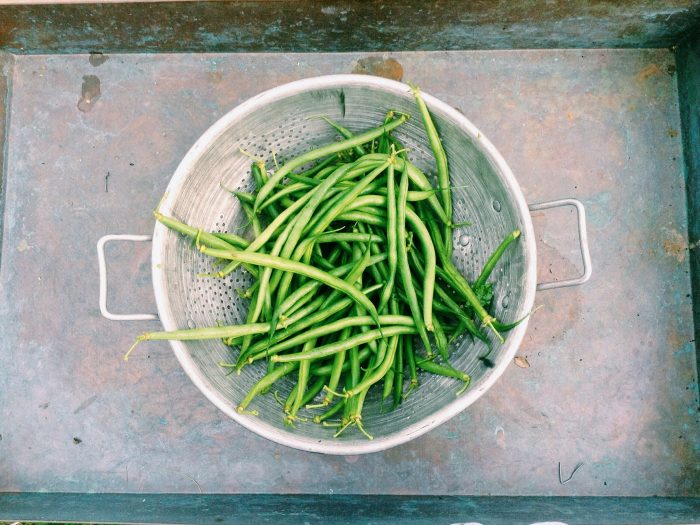 Mashed of fresh green beans