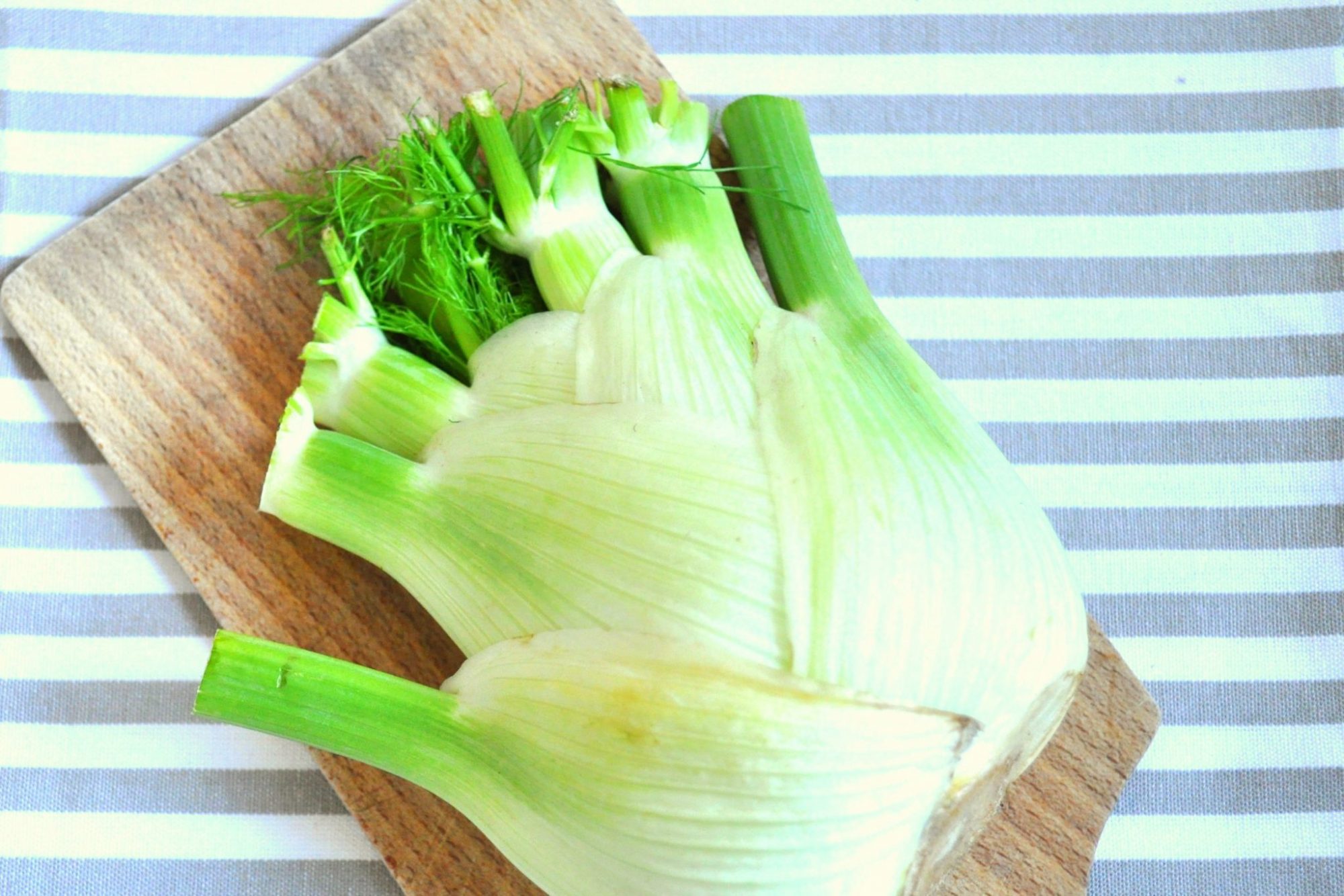 Fennel soup with Parmesan