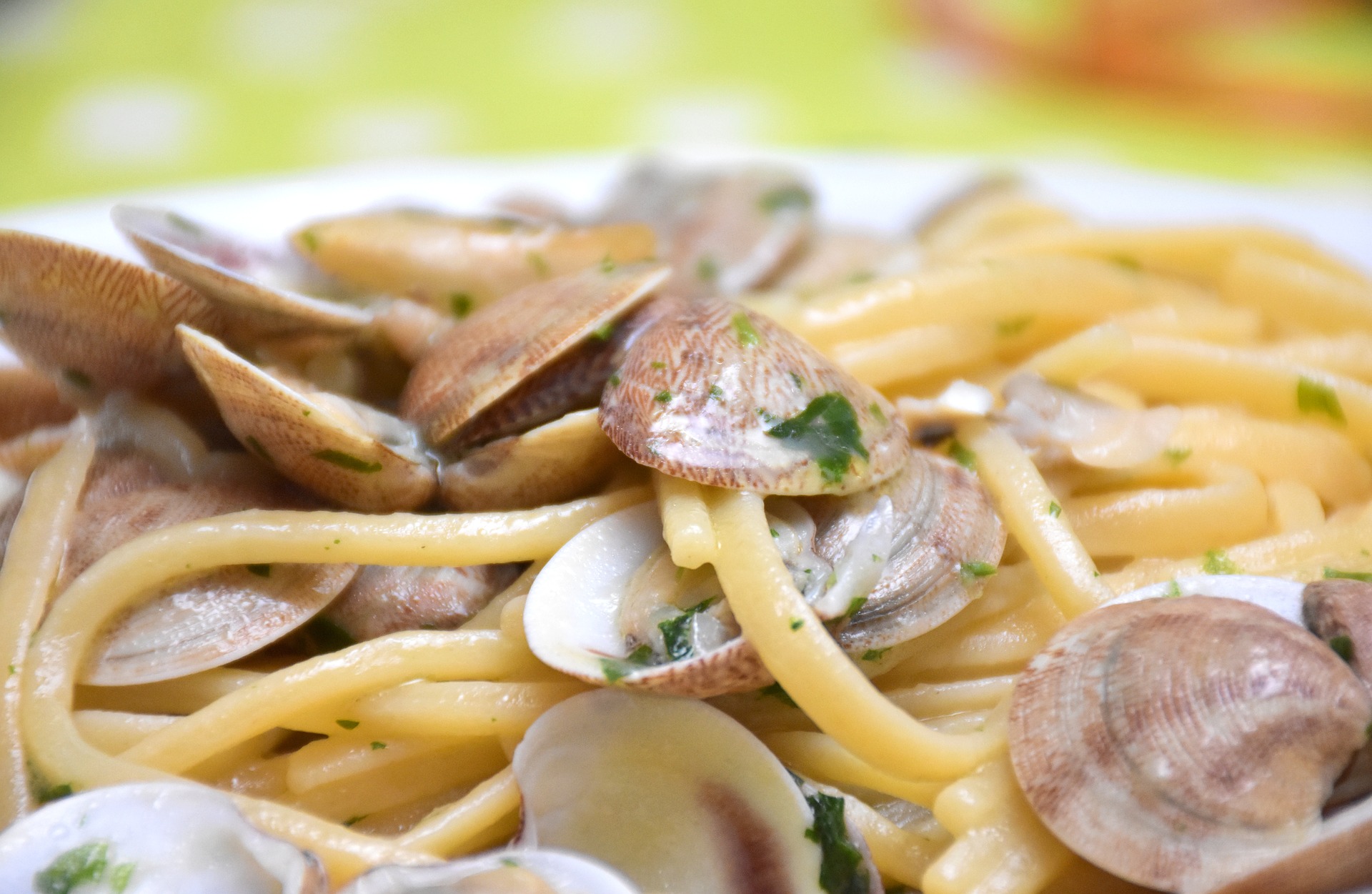 Tagliatelle with clams